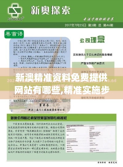 新澳精准资料免费提供网站有哪些,精准实施步骤_挑战版8.123