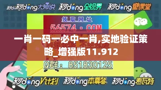 一肖一码一必中一肖,实地验证策略_增强版11.912