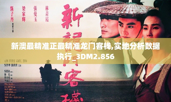 新澳最精准正最精准龙门客栈,实地分析数据执行_3DM2.856