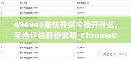494949最快开奖今晚开什么,实地评估解析说明_ChromeOS10.492