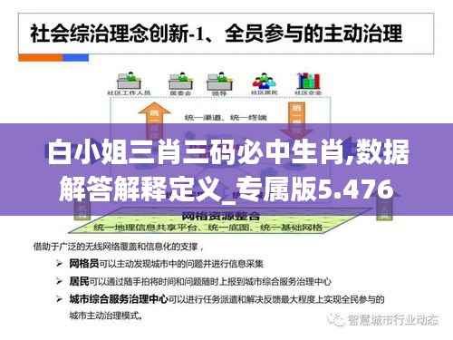 白小姐三肖三码必中生肖,数据解答解释定义_专属版5.476