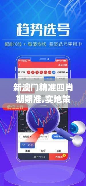 新澳门精准四肖期期准,实地策略评估数据_nShop9.414