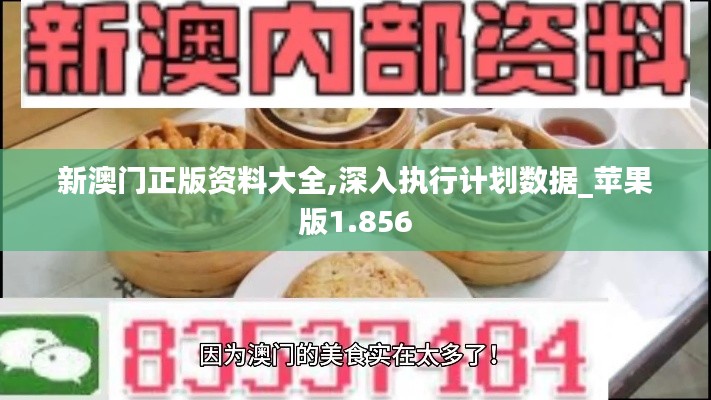 新澳门正版资料大全,深入执行计划数据_苹果版1.856