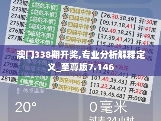澳门338期开奖,专业分析解释定义_至尊版7.146