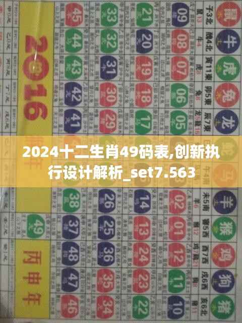 2024十二生肖49码表,创新执行设计解析_set7.563
