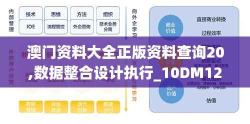 澳门资料大全正版资料查询20,数据整合设计执行_10DM12.174