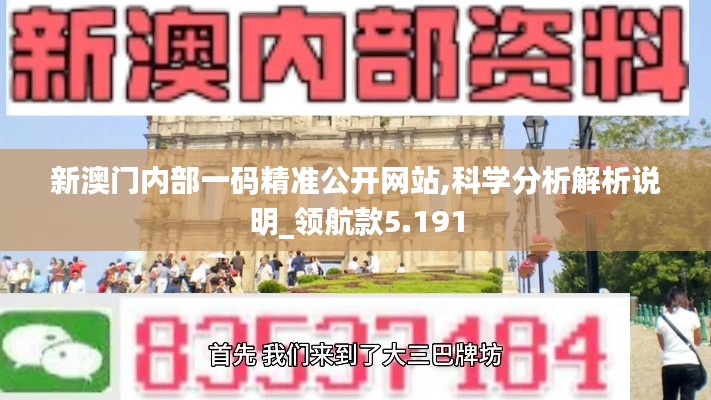 新澳门内部一码精准公开网站,科学分析解析说明_领航款5.191