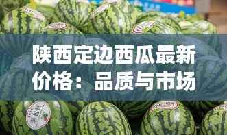 陕西定边西瓜最新价格:品质与市场的完美邂逅