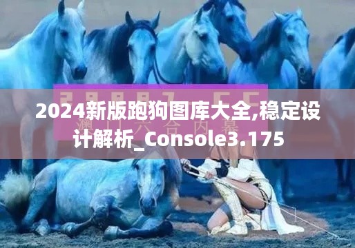 2024新版跑狗图库大全,稳定设计解析_Console3.175