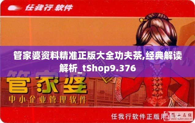 管家婆资料精准正版大全功夫茶,经典解读解析_tShop9.376