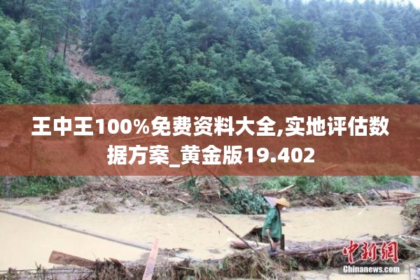 王中王100%免费资料大全,实地评估数据方案_黄金版19.402