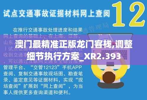 澳门最精准正版龙门客栈,调整细节执行方案_XR2.393