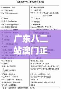 广东八二站澳门正版传真,现状分析解释定义_粉丝款8.771