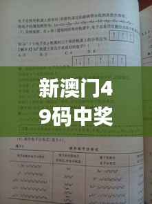 新澳门49码中奖规则,理论依据解释定义_粉丝版8.249