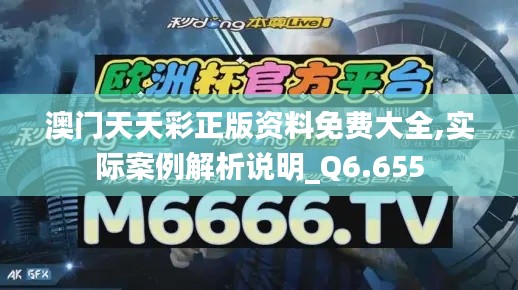 澳门天天彩正版资料免费大全,实际案例解析说明_Q6.655