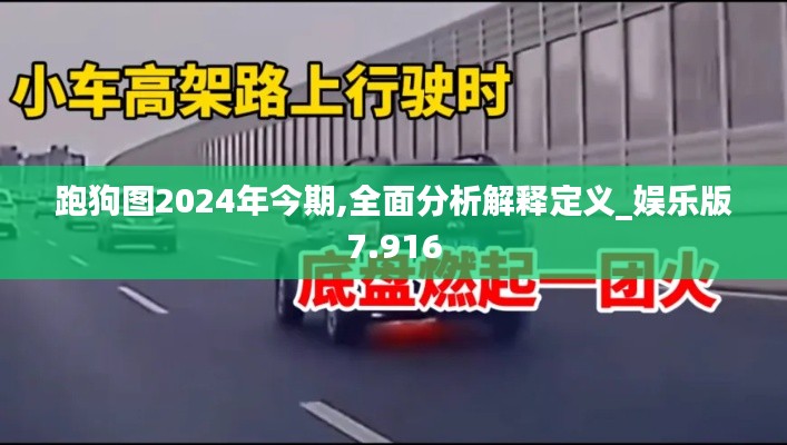 跑狗图2024年今期,全面分析解释定义_娱乐版7.916