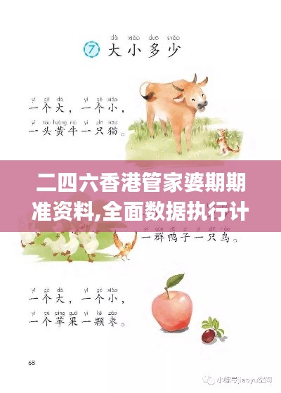 二四六香港管家婆期期准资料,全面数据执行计划_视频版7.237