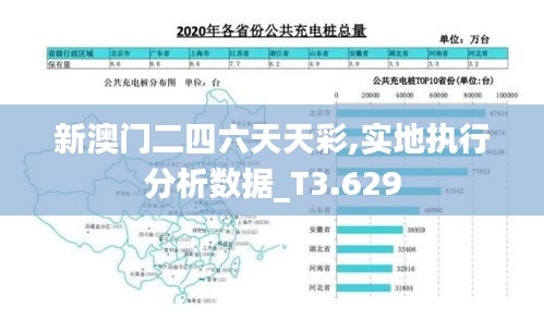 新澳门二四六天天彩,实地执行分析数据_T3.629
