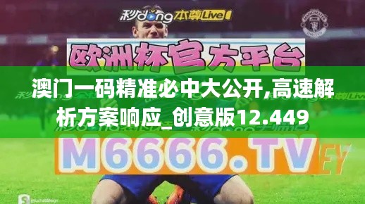 澳门一码精准必中大公开,高速解析方案响应_创意版12.449