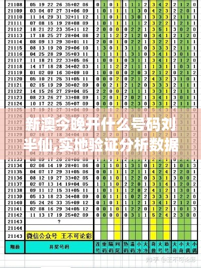 新澳今晚开什么号码刘半仙,实地验证分析数据_MP6.554