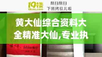 黄大仙综合资料大全精准大仙,专业执行方案_专属款1.200