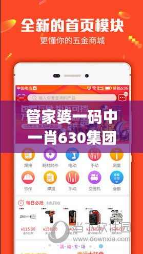 管家婆一码中一肖630集团,适用性执行方案_手游版18.761