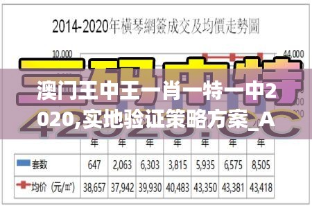 澳门王中王一肖一特一中2020,实地验证策略方案_AP18.658