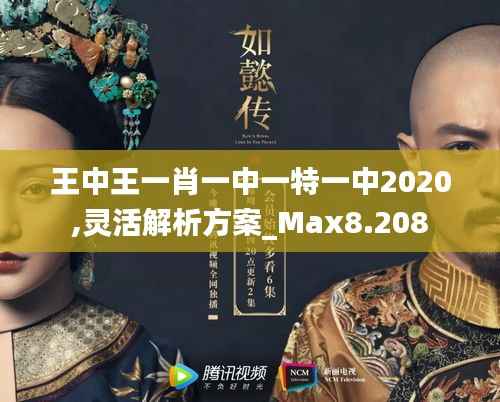 王中王一肖一中一特一中2020,灵活解析方案_Max8.208