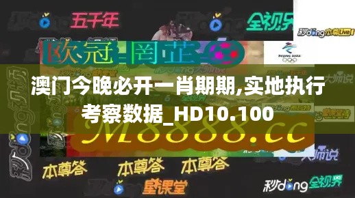 澳门今晚必开一肖期期,实地执行考察数据_HD10.100