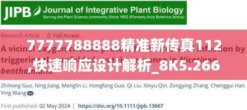 7777788888精准新传真112,快速响应设计解析_8K5.266