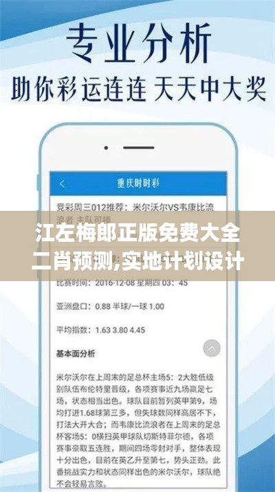 江左梅郎正版免费大全二肖预测,实地计划设计验证_户外版8.865