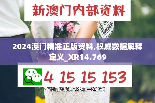 2024澳门精准正版资料,权威数据解释定义_XR14.769