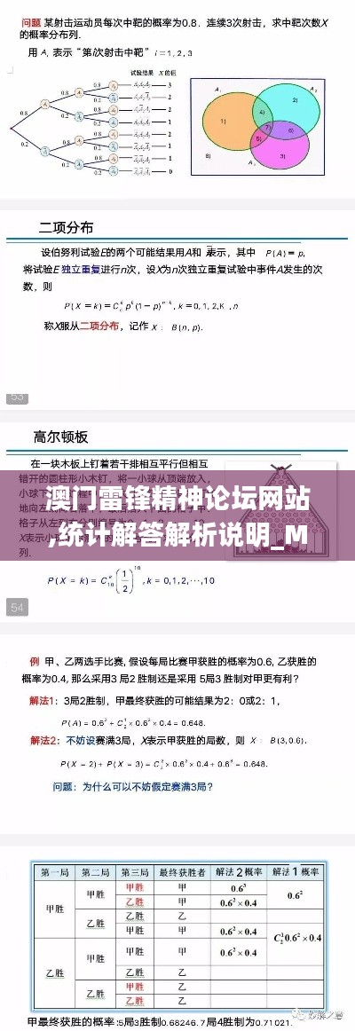澳门雷锋精神论坛网站,统计解答解析说明_Max5.146