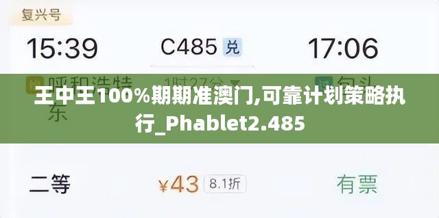 王中王100%期期准澳门,可靠计划策略执行_Phablet2.485