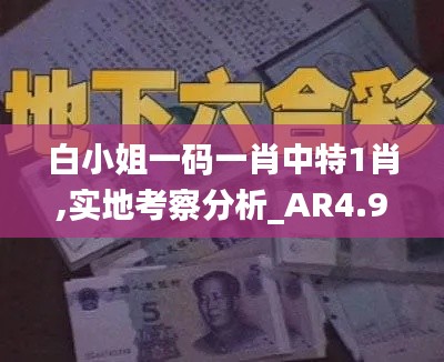 白小姐一码一肖中特1肖,实地考察分析_AR4.988