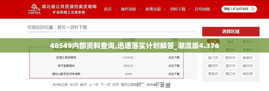 48549内部资料查询,迅速落实计划解答_潮流版4.376