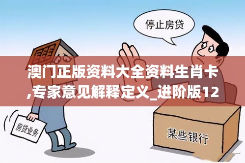 澳门正版资料大全资料生肖卡,专家意见解释定义_进阶版12.873