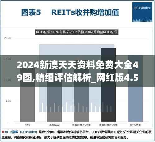 2024新澳天天资料免费大全49图,精细评估解析_网红版4.534