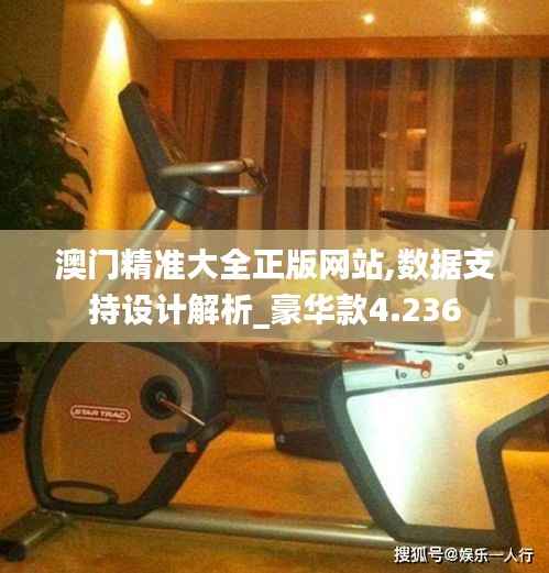 澳门精准大全正版网站,数据支持设计解析_豪华款4.236