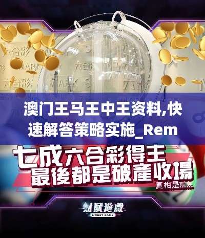 澳门王马王中王资料,快速解答策略实施_RemixOS6.380