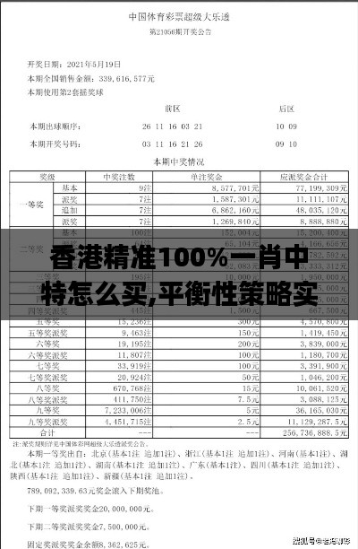 香港精准100%一肖中特怎么买,平衡性策略实施指导_3DM5.857