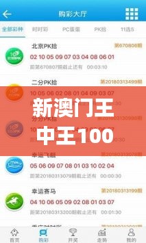 新澳门王中王100%期期中,可靠解析评估_1080p6.300