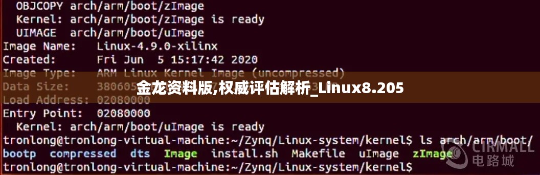 金龙资料版,权威评估解析_Linux8.205