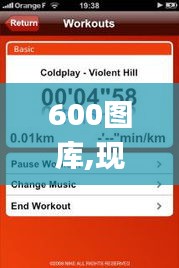 600图库,现状评估解析说明_iPhone9.921