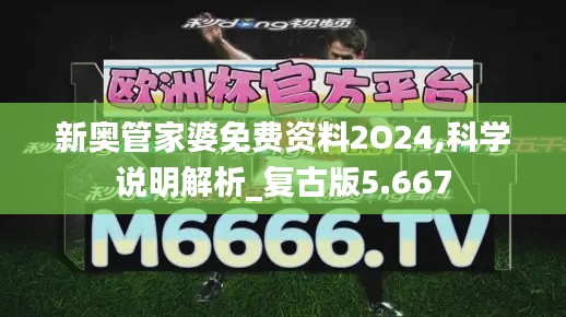 新奥管家婆免费资料2O24,科学说明解析_复古版5.667