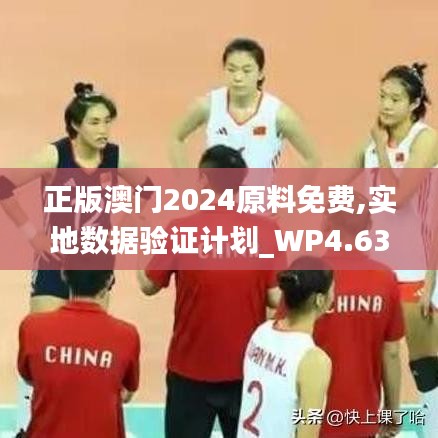 正版澳门2024原料免费,实地数据验证计划_WP4.630