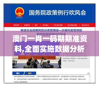 澳门一肖一码期期准资料,全面实施数据分析_专属款19.681