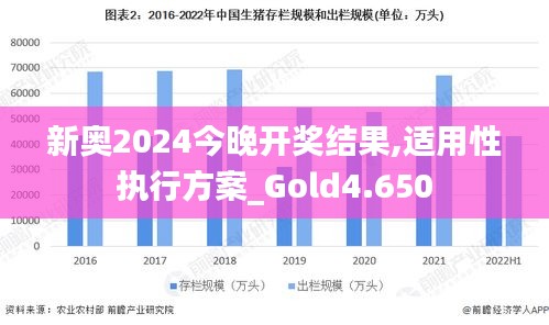 新奥2024今晚开奖结果,适用性执行方案_Gold4.650