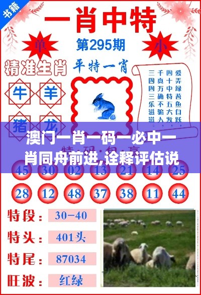 澳门一肖一码一必中一肖同舟前进,诠释评估说明_XT2.576