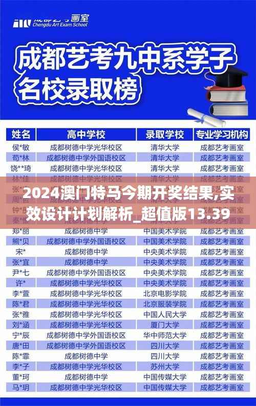 2024澳门特马今期开奖结果,实效设计计划解析_超值版13.394